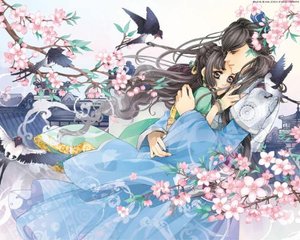 欧美永久域名转跳